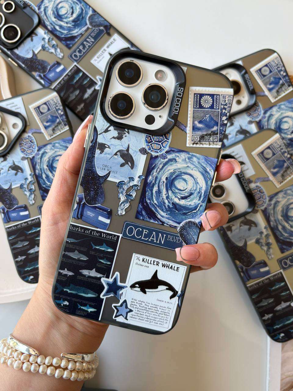 قاب سوکول ocean