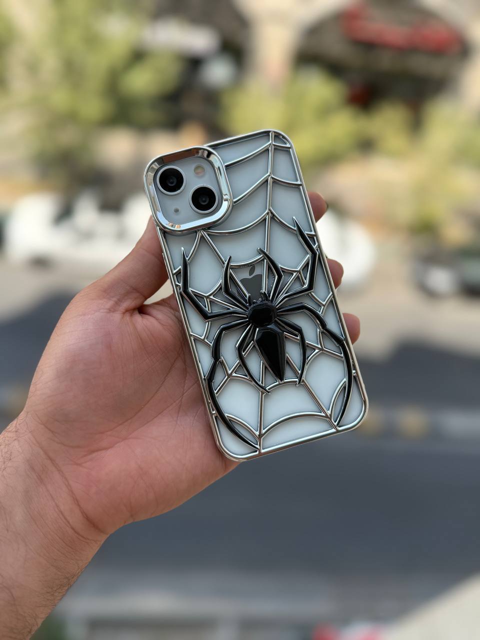 قاب تار عنکبوت 